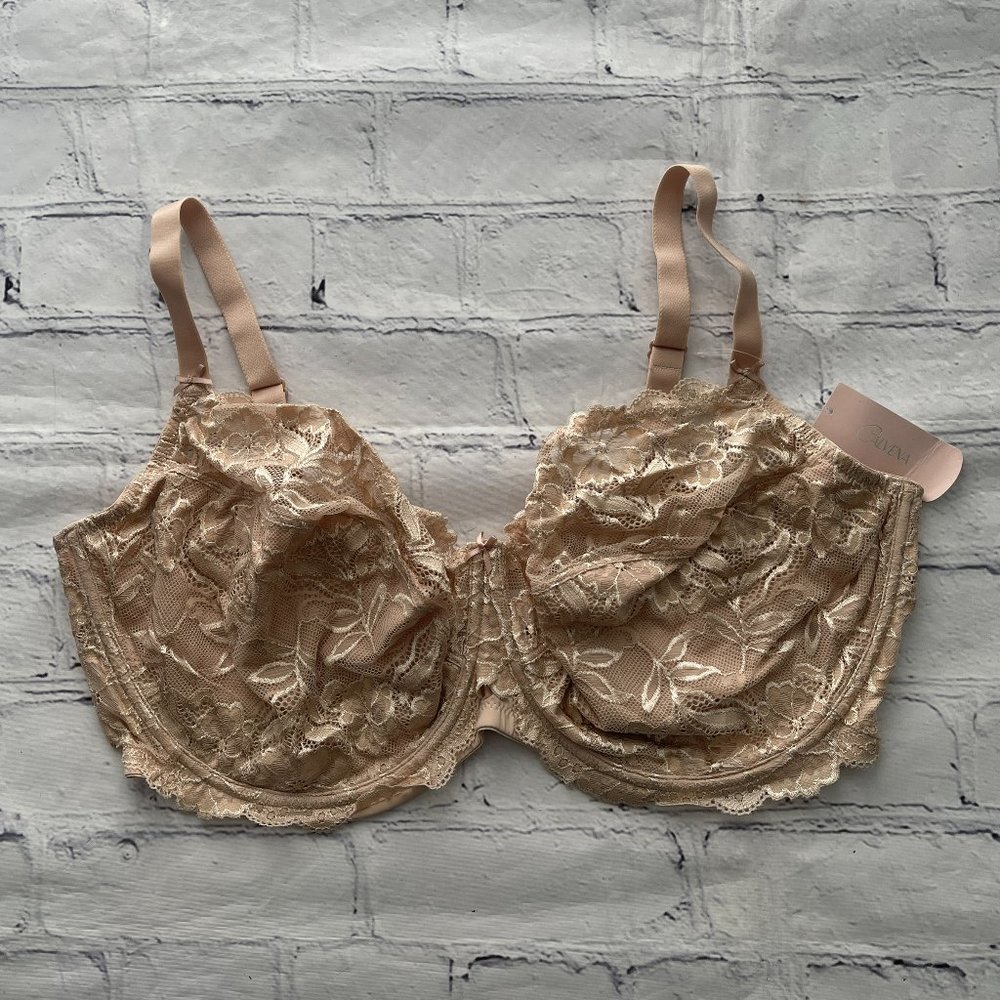 Calvena Plus Women Lace Bra